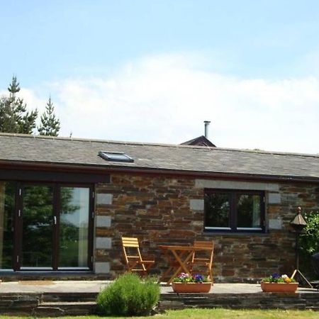 Wilson Cottage Dartmoor Tavistock  Exterior foto